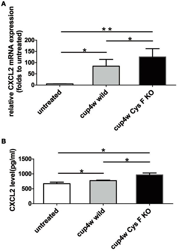 https://cdn.ncbi.nlm.nih.gov/pmc/blobs/81c1/5175397/2b1019a0a345/fnmol-09-00152-g0005.jpg