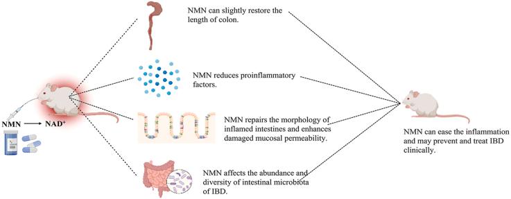 https://cdn.ncbi.nlm.nih.gov/pmc/blobs/81c4/9464647/8a557f2cc689/ga1.jpg