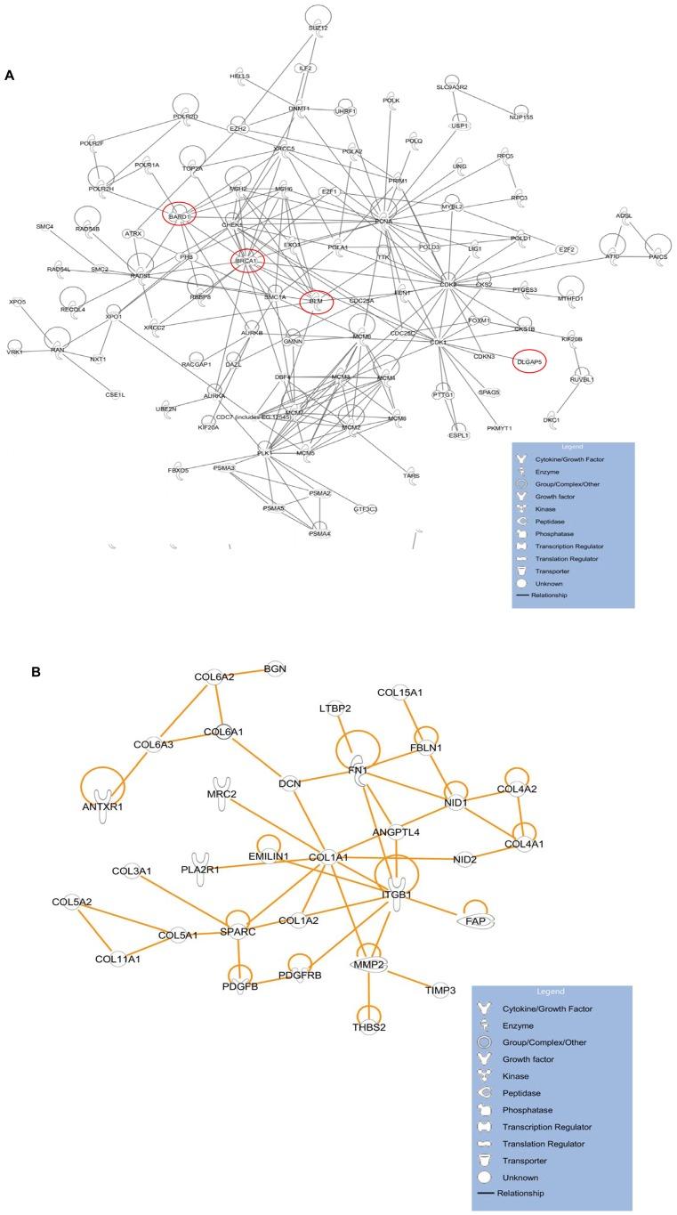 https://cdn.ncbi.nlm.nih.gov/pmc/blobs/81c5/3431293/4baf27eb9813/pcbi.1002656.g003.jpg