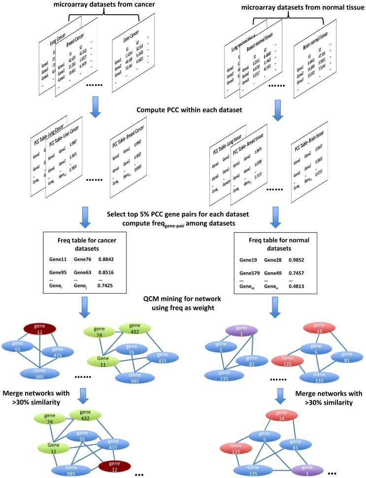 https://cdn.ncbi.nlm.nih.gov/pmc/blobs/81c5/3431293/6e0499096dce/pcbi.1002656.g001.jpg