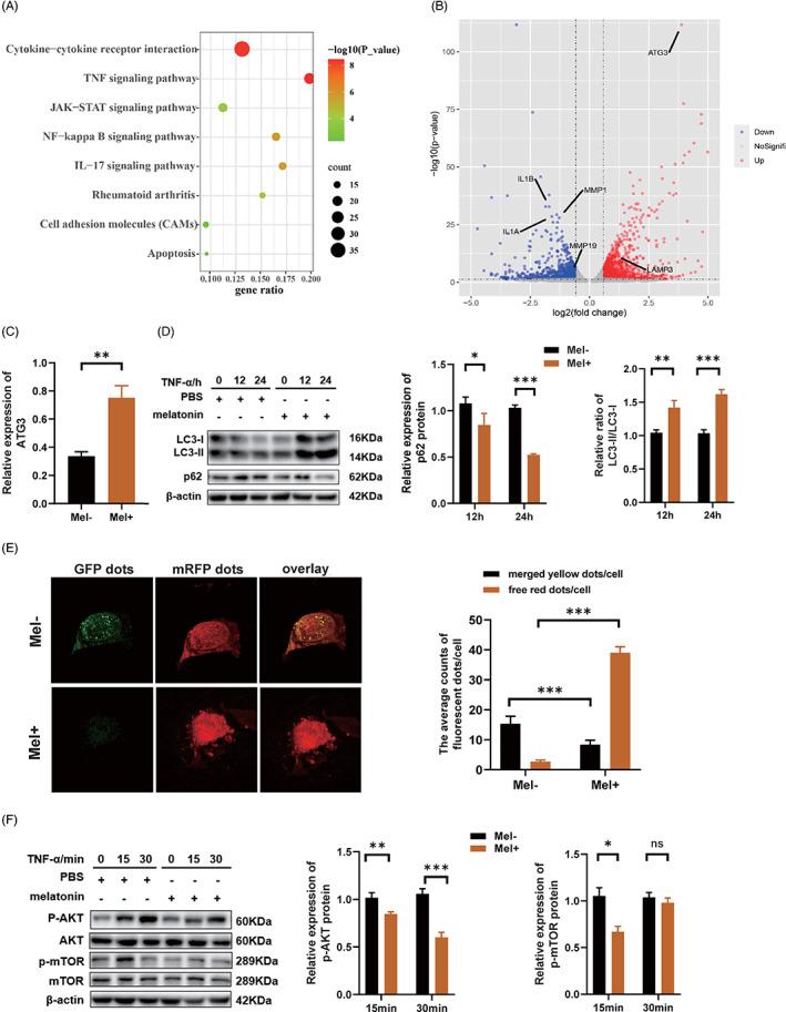 https://cdn.ncbi.nlm.nih.gov/pmc/blobs/81c5/9201377/74d5edbab487/CPR-55-e13251-g008.jpg