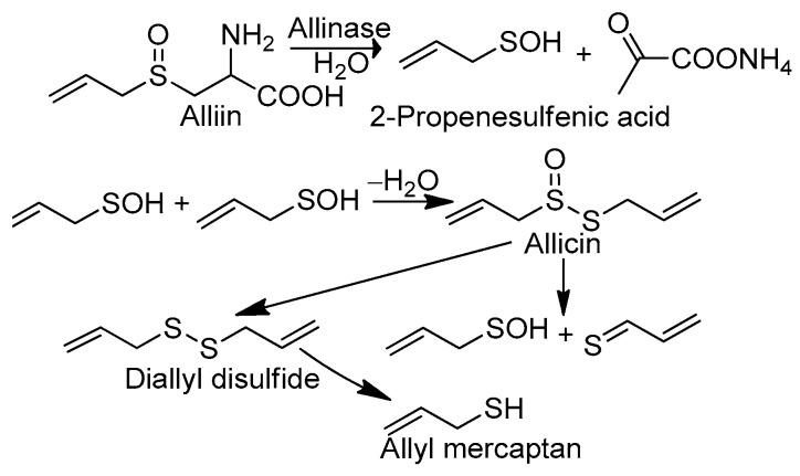 https://cdn.ncbi.nlm.nih.gov/pmc/blobs/81c7/10856204/ebadf5e2b85c/molecules-29-00668-sch001.jpg