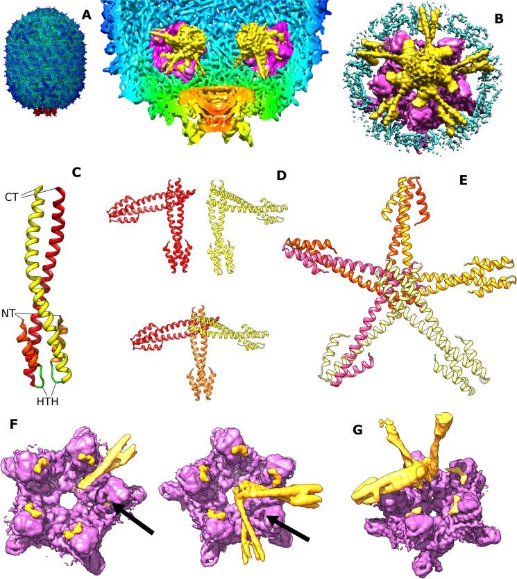 https://cdn.ncbi.nlm.nih.gov/pmc/blobs/81c8/11922011/d0d109798aec/sciadv.adk8779-f7.jpg