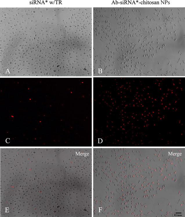 https://cdn.ncbi.nlm.nih.gov/pmc/blobs/81c8/5422875/fbf39c8337bd/12951_2017_272_Fig2_HTML.jpg