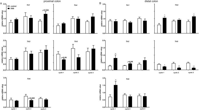 https://cdn.ncbi.nlm.nih.gov/pmc/blobs/81c8/5613238/7329b6356e7d/gr5.jpg