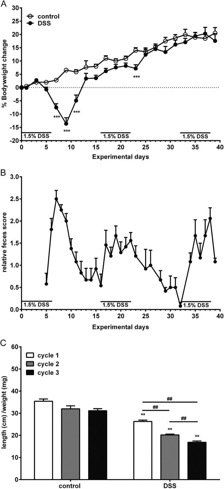 https://cdn.ncbi.nlm.nih.gov/pmc/blobs/81c8/5613238/80fd95f60fbb/gr1.jpg