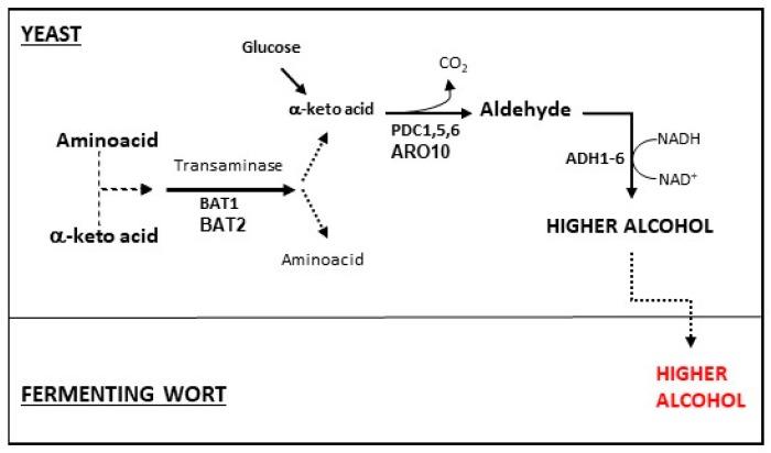 https://cdn.ncbi.nlm.nih.gov/pmc/blobs/81c8/6515478/9461ff4e5d49/molecules-24-01568-g002.jpg