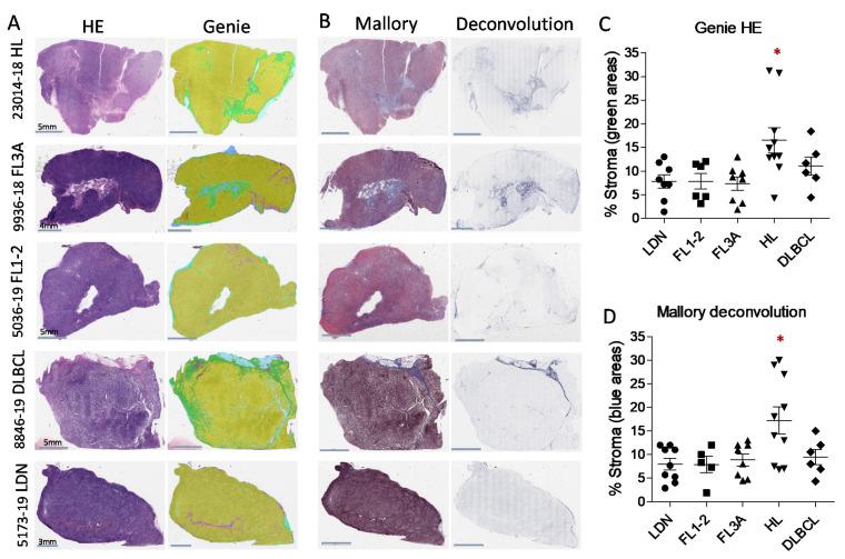 https://cdn.ncbi.nlm.nih.gov/pmc/blobs/81c8/8750937/2e8287b40dab/cancers-14-00259-g001.jpg