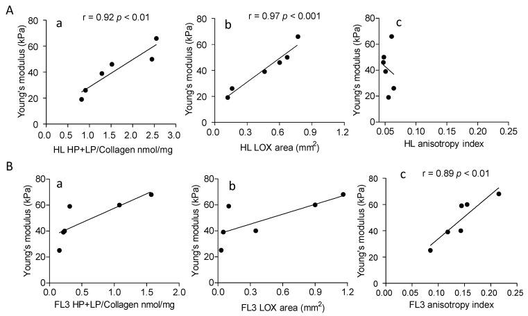 https://cdn.ncbi.nlm.nih.gov/pmc/blobs/81c8/8750937/4b3f8dfa0ca1/cancers-14-00259-g006.jpg
