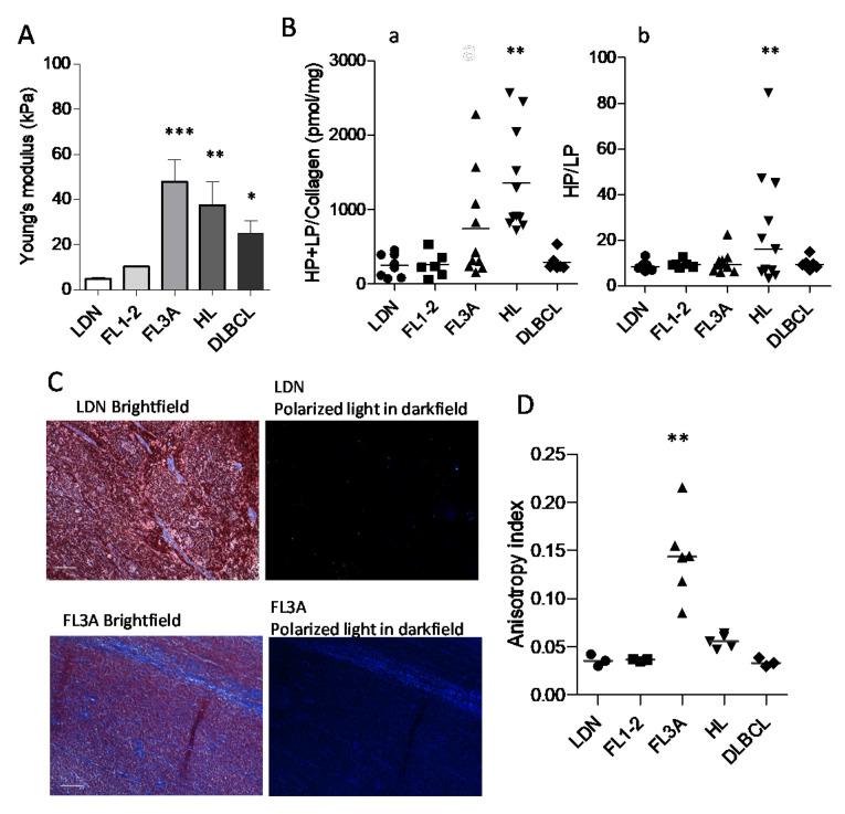 https://cdn.ncbi.nlm.nih.gov/pmc/blobs/81c8/8750937/fafe1e525e5e/cancers-14-00259-g003.jpg