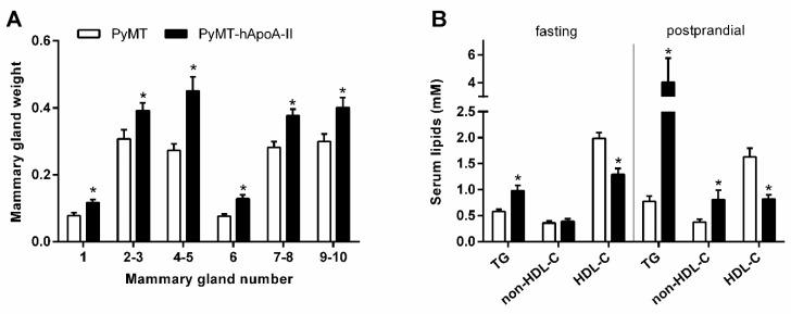https://cdn.ncbi.nlm.nih.gov/pmc/blobs/81cb/6616617/783ceaee2d30/jcm-08-00853-g001.jpg