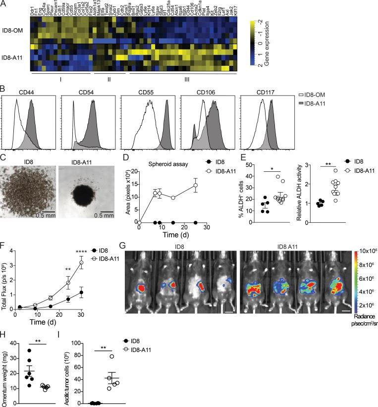 https://cdn.ncbi.nlm.nih.gov/pmc/blobs/81cb/7144521/38d764934b57/JEM_20191869_Fig7.jpg