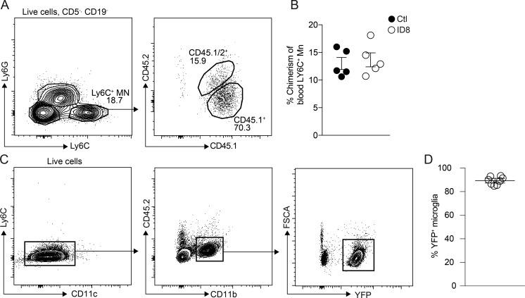 https://cdn.ncbi.nlm.nih.gov/pmc/blobs/81cb/7144521/8673eb6a296e/JEM_20191869_FigS2.jpg