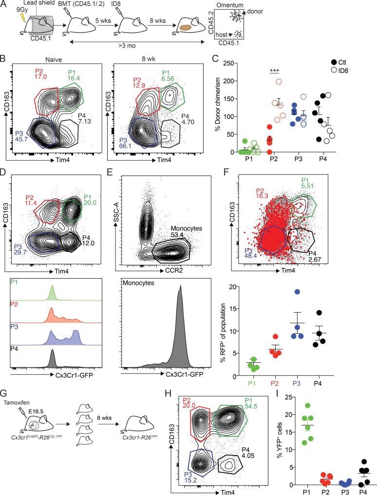 https://cdn.ncbi.nlm.nih.gov/pmc/blobs/81cb/7144521/b160faf4c9af/JEM_20191869_Fig4.jpg