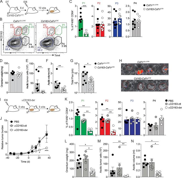 https://cdn.ncbi.nlm.nih.gov/pmc/blobs/81cb/7144521/c57fe8af22c3/JEM_20191869_Fig6.jpg