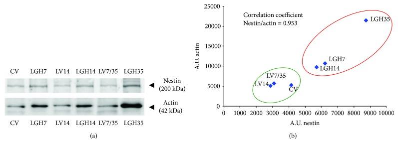 https://cdn.ncbi.nlm.nih.gov/pmc/blobs/81cc/5883990/f1e7aab9ca18/NP2018-6125901.004.jpg