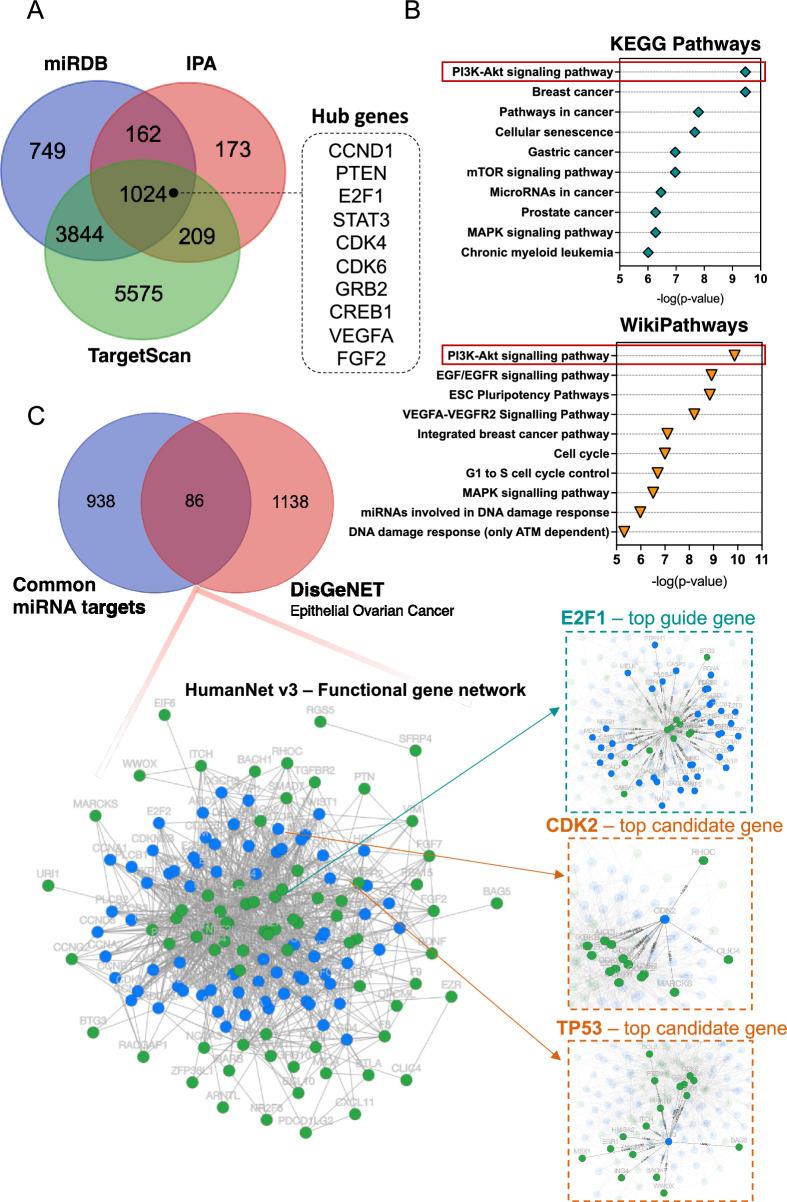 https://cdn.ncbi.nlm.nih.gov/pmc/blobs/81cd/10630404/385712371104/41598_2023_45317_Fig2_HTML.jpg