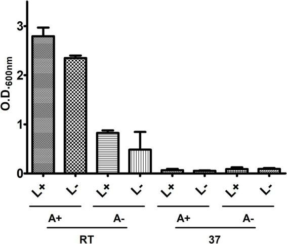 https://cdn.ncbi.nlm.nih.gov/pmc/blobs/81cd/12062998/3e7793dd9d2b/fmicb-16-1558006-g001.jpg