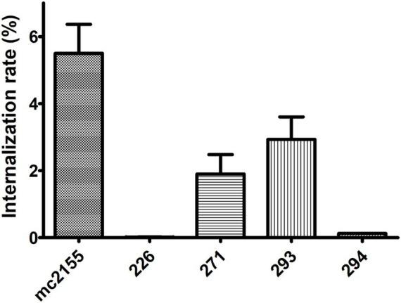 https://cdn.ncbi.nlm.nih.gov/pmc/blobs/81cd/12062998/dbb9bef4eabd/fmicb-16-1558006-g006.jpg
