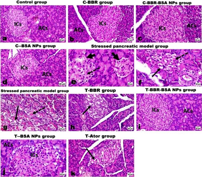 https://cdn.ncbi.nlm.nih.gov/pmc/blobs/81cd/9581884/df6572038a5c/41598_2022_21568_Fig7_HTML.jpg
