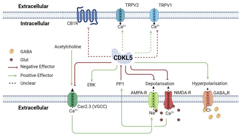 https://cdn.ncbi.nlm.nih.gov/pmc/blobs/81d2/11476665/7d6545c2acb9/ijms-25-10768-g002.jpg