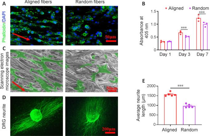 https://cdn.ncbi.nlm.nih.gov/pmc/blobs/81d7/11691465/1845d69976bf/NRR-20-2084-g004.jpg