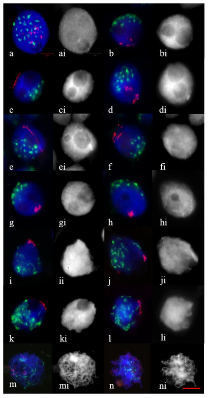 https://cdn.ncbi.nlm.nih.gov/pmc/blobs/81d9/9229938/4b9fd05dbf68/plants-11-01582-g001.jpg