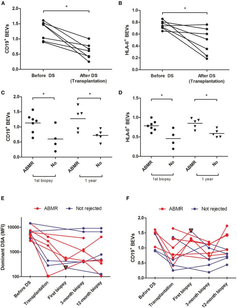 https://cdn.ncbi.nlm.nih.gov/pmc/blobs/81db/8716735/4a04181ef6fe/fmed-08-781239-g0002.jpg