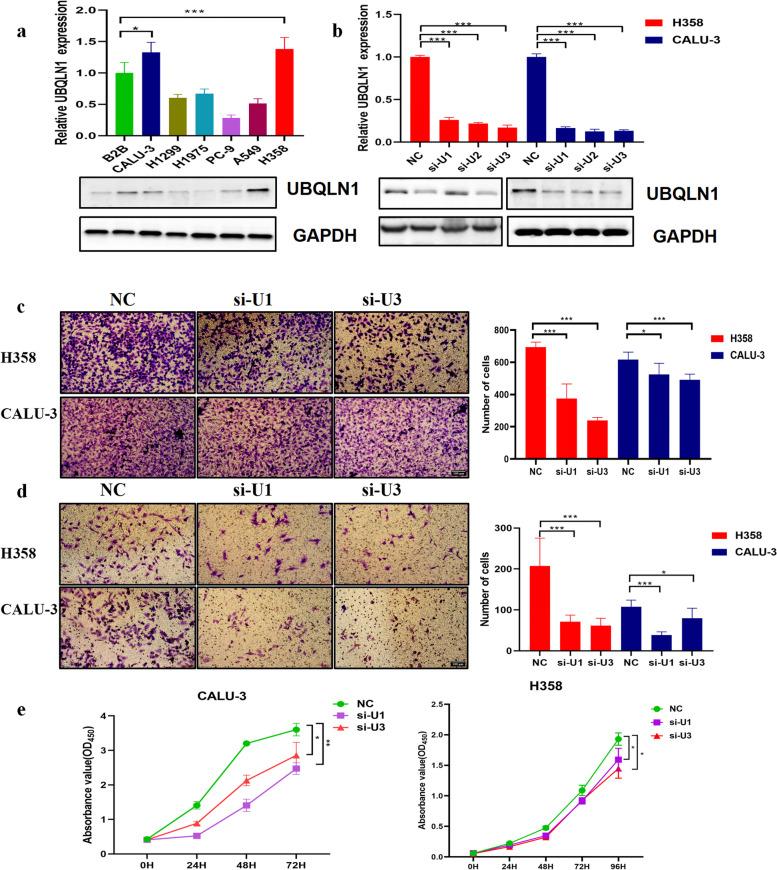 https://cdn.ncbi.nlm.nih.gov/pmc/blobs/81dc/10908023/6125f77f8d66/12885_2024_12019_Fig7_HTML.jpg
