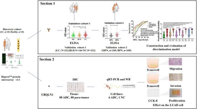 https://cdn.ncbi.nlm.nih.gov/pmc/blobs/81dc/10908023/ce3e527e68e2/12885_2024_12019_Fig1_HTML.jpg
