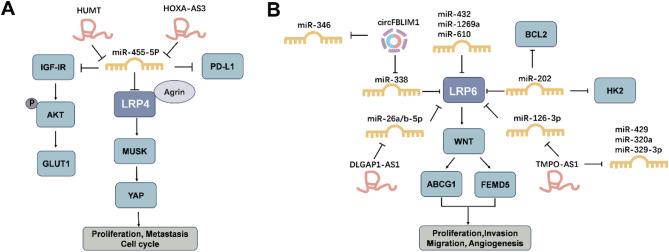 https://cdn.ncbi.nlm.nih.gov/pmc/blobs/81dc/12085831/2342f7c9c703/12935_2025_3804_Fig3_HTML.jpg