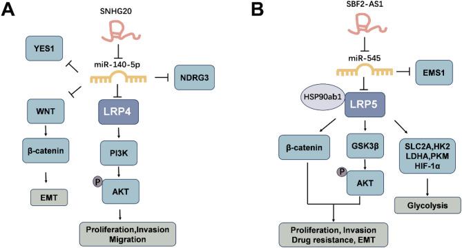 https://cdn.ncbi.nlm.nih.gov/pmc/blobs/81dc/12085831/83f24e483a01/12935_2025_3804_Fig4_HTML.jpg