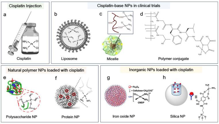 https://cdn.ncbi.nlm.nih.gov/pmc/blobs/81dd/12110417/0e927e2b347e/biosensors-15-00293-g001.jpg