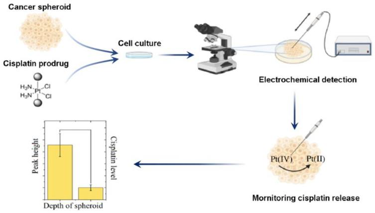 https://cdn.ncbi.nlm.nih.gov/pmc/blobs/81dd/12110417/5020ab860e24/biosensors-15-00293-g003.jpg