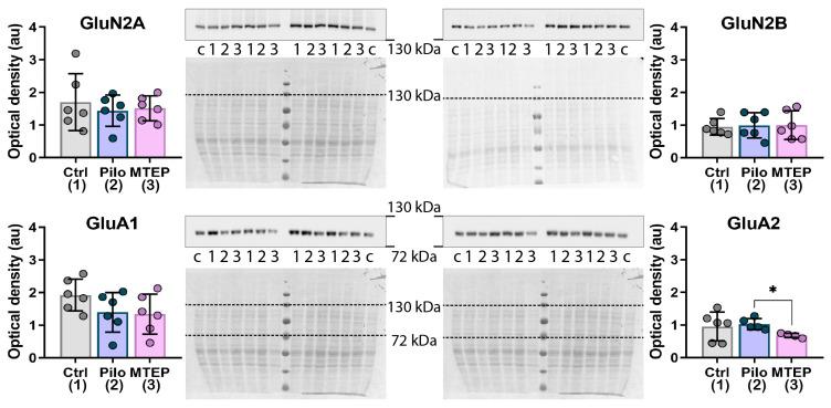 https://cdn.ncbi.nlm.nih.gov/pmc/blobs/81dd/8745728/424f3ab1e1b2/ijms-23-00497-g0A1.jpg