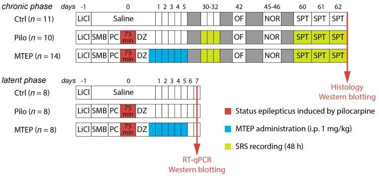https://cdn.ncbi.nlm.nih.gov/pmc/blobs/81dd/8745728/9c75f9c15a29/ijms-23-00497-g001.jpg