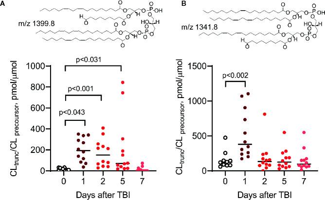 https://cdn.ncbi.nlm.nih.gov/pmc/blobs/81de/7933662/d5613a3b0f38/fendo-11-628079-g007.jpg