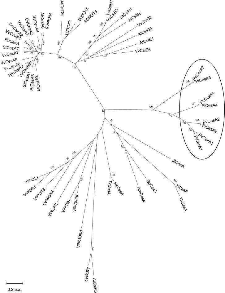 https://cdn.ncbi.nlm.nih.gov/pmc/blobs/81df/7567880/e4b7939dded4/41598_2020_73027_Fig1_HTML.jpg