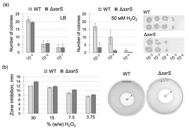 https://cdn.ncbi.nlm.nih.gov/pmc/blobs/81e2/8998176/b02c54a0f823/ijms-23-03653-g002.jpg