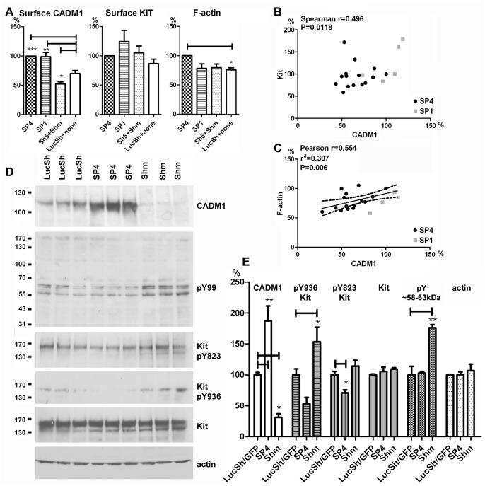 https://cdn.ncbi.nlm.nih.gov/pmc/blobs/81e3/3899107/b58c7f45539b/pone.0085980.g002.jpg