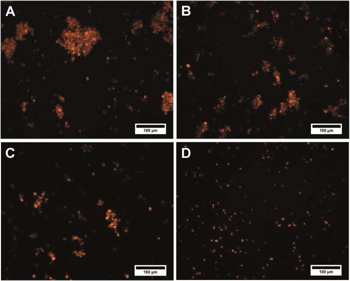 https://cdn.ncbi.nlm.nih.gov/pmc/blobs/81e4/6363708/de68f6e8699c/fchem-07-00034-g0003.jpg