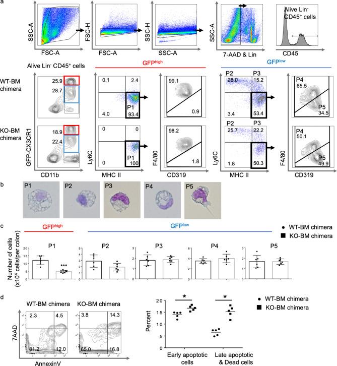 https://cdn.ncbi.nlm.nih.gov/pmc/blobs/81e5/11449942/e35e63791b6f/41598_2024_74215_Fig2_HTML.jpg