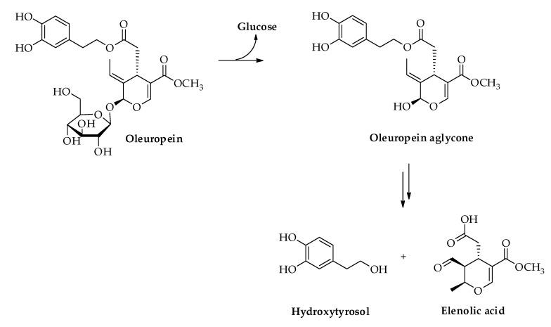 https://cdn.ncbi.nlm.nih.gov/pmc/blobs/81e5/6724211/dac7cbb88511/nutrients-11-01776-g002.jpg
