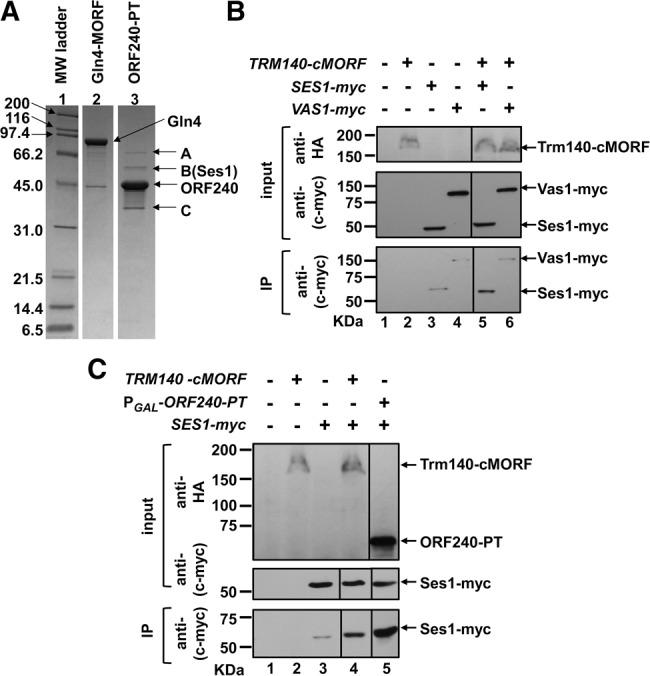 https://cdn.ncbi.nlm.nih.gov/pmc/blobs/81e6/5311504/2d9135060724/406f06.jpg