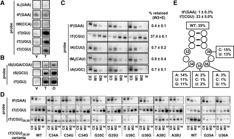 https://cdn.ncbi.nlm.nih.gov/pmc/blobs/81e6/5311504/75440e268f87/406f03.jpg