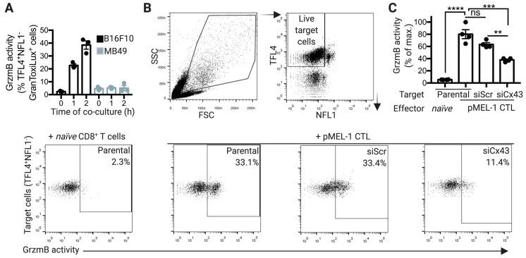 https://cdn.ncbi.nlm.nih.gov/pmc/blobs/81e6/6769613/5f18dbe0b360/ijms-20-04509-g003.jpg