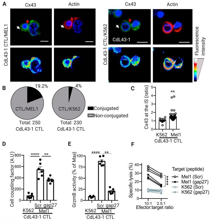 https://cdn.ncbi.nlm.nih.gov/pmc/blobs/81e6/6769613/6013eac87db0/ijms-20-04509-g004.jpg