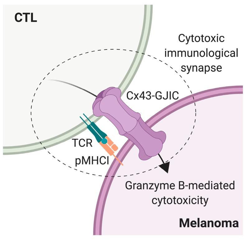 https://cdn.ncbi.nlm.nih.gov/pmc/blobs/81e6/6769613/f6b0d74c3cfa/ijms-20-04509-g005.jpg