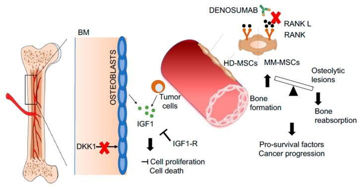 https://cdn.ncbi.nlm.nih.gov/pmc/blobs/81ea/7019991/14713b075373/jcm-09-00002-g003.jpg