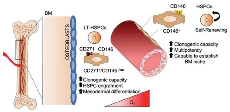 https://cdn.ncbi.nlm.nih.gov/pmc/blobs/81ea/7019991/4cc4c273c1f3/jcm-09-00002-g001.jpg